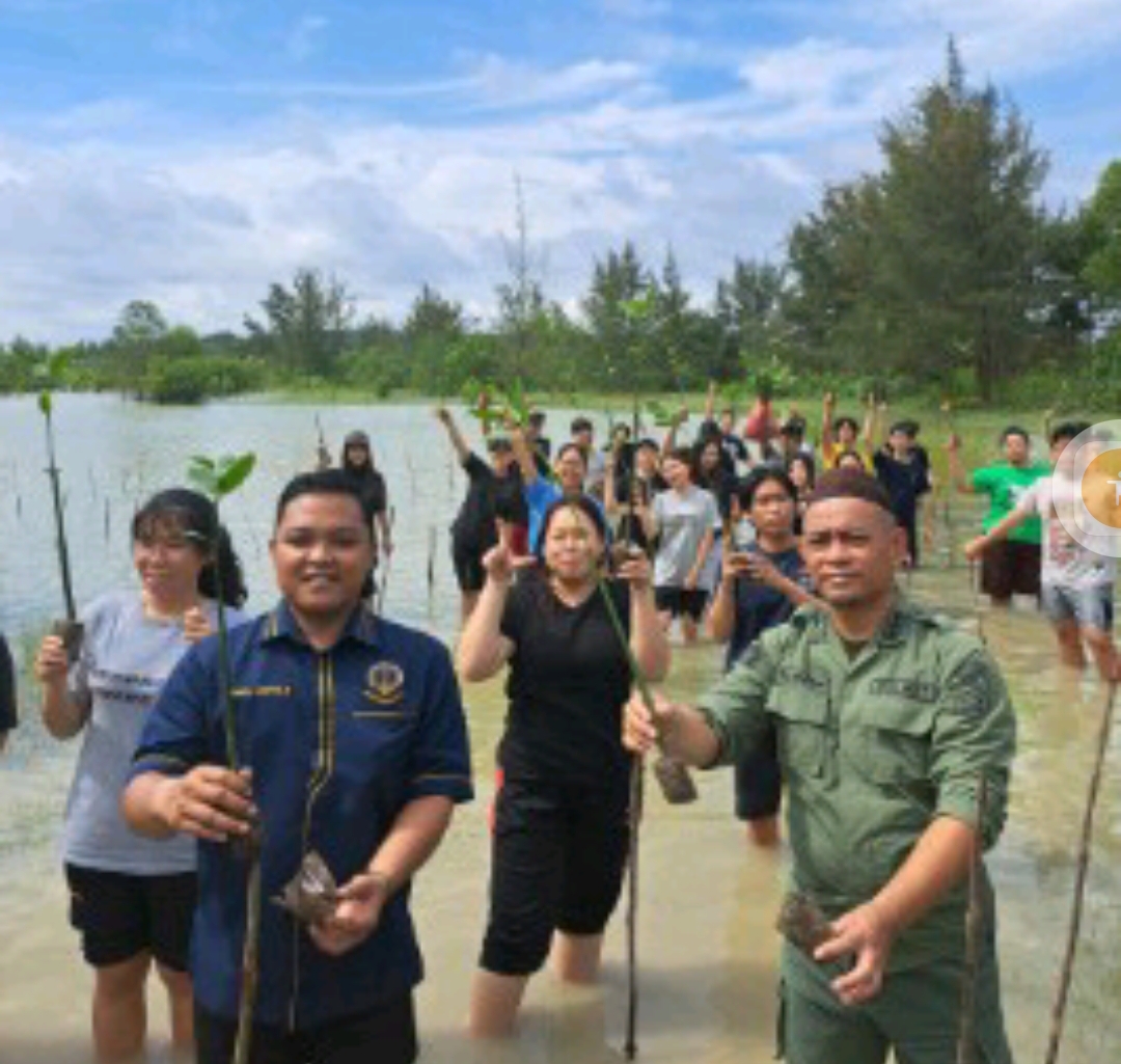 Tanaim : Pentingnya ekosistem mangrove