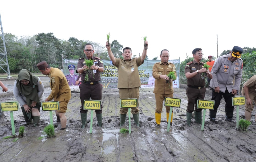 Gubernur Hidayat Arsani Pimpin Penanaman Padi Program Ketahanan Pangan Desa Adhyaksa 2026 di Namang Bangka Tengah