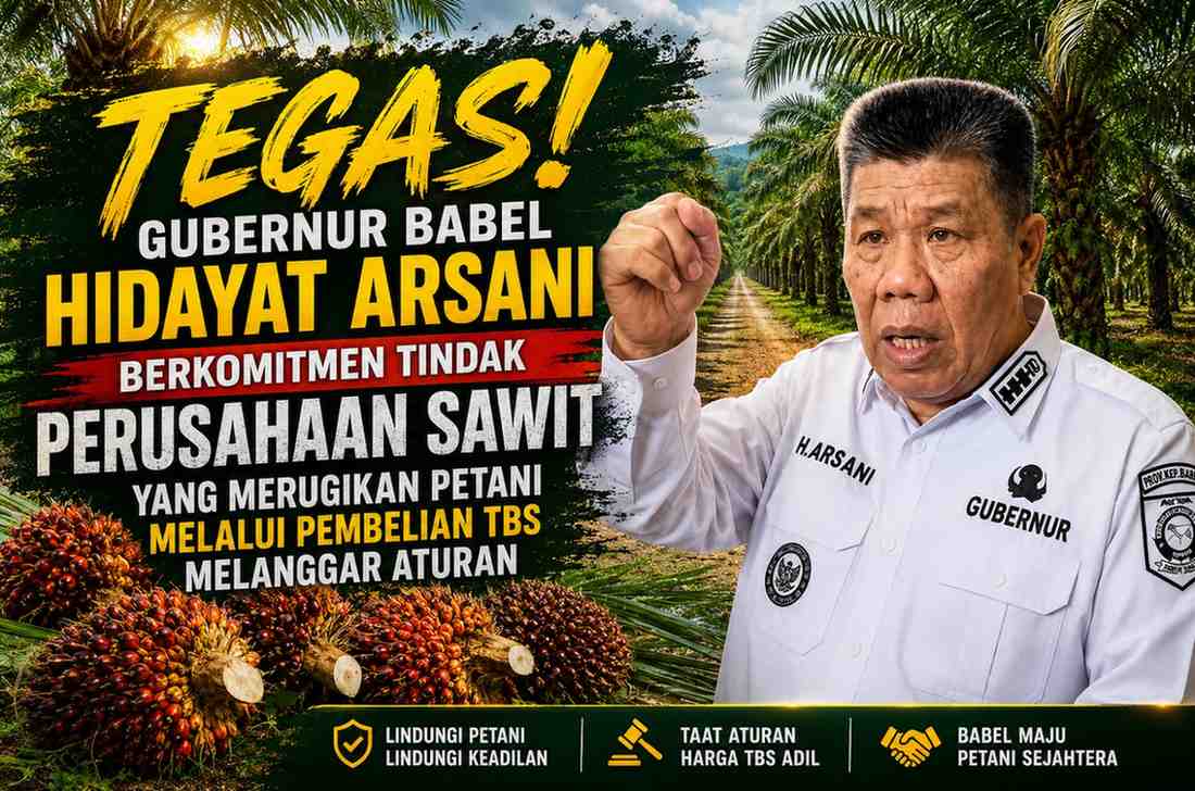 Tegas! Gubernur Babel Hidayat Arsani Berkomitmen Tindak Perusahaan Sawit yang Merugikan Petani Melalui Pembelian TBS Melanggar Aturan