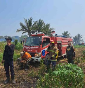 KPH Sigambir Bersama Laskar Sekaben dan Damkar Berhasil Padamkan Kebakaran Hutan Lindung Bukit Rebo